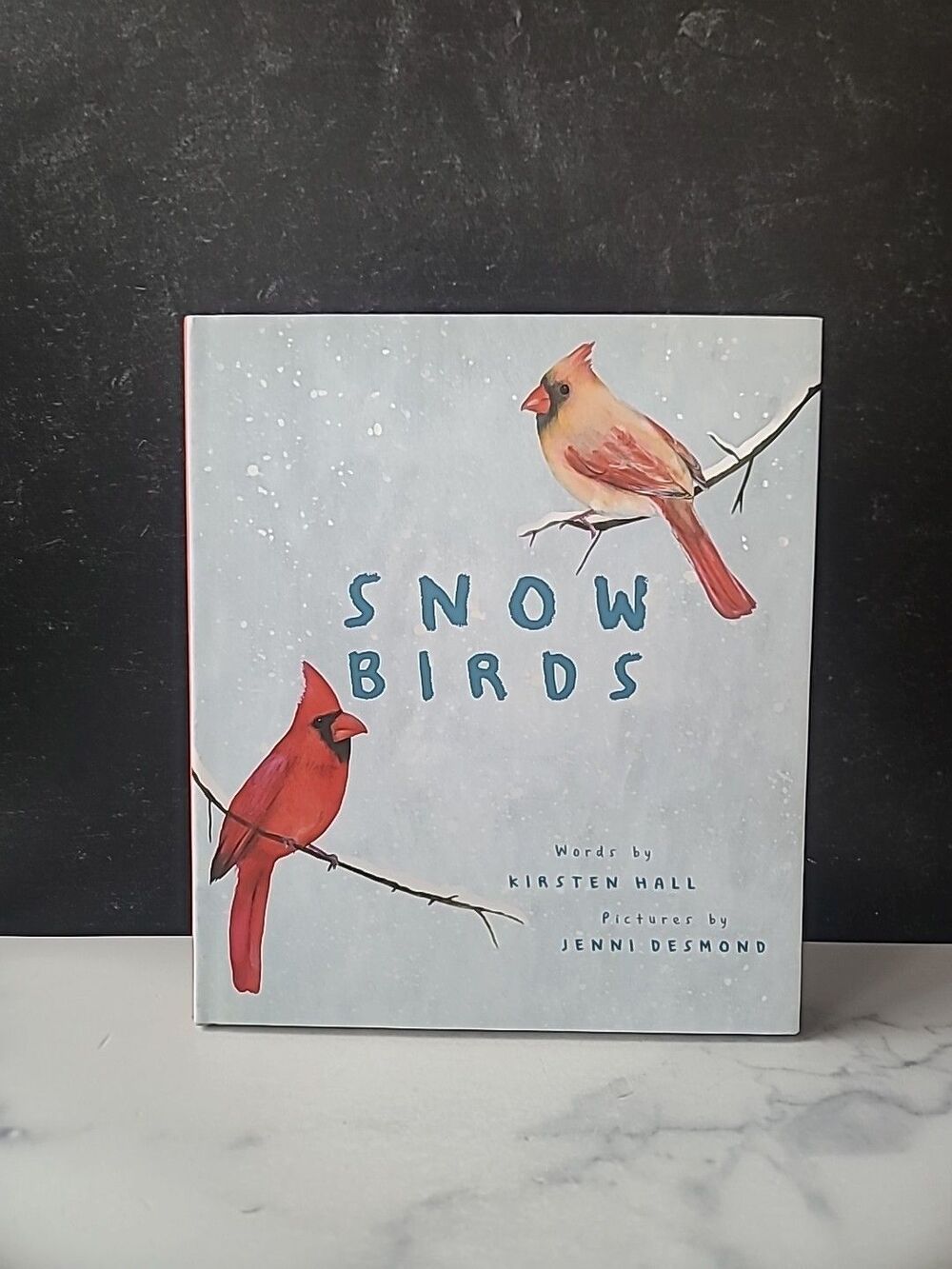 Snow Birds : A Picture Book by Kirsten Hall (2020, Hardcover)